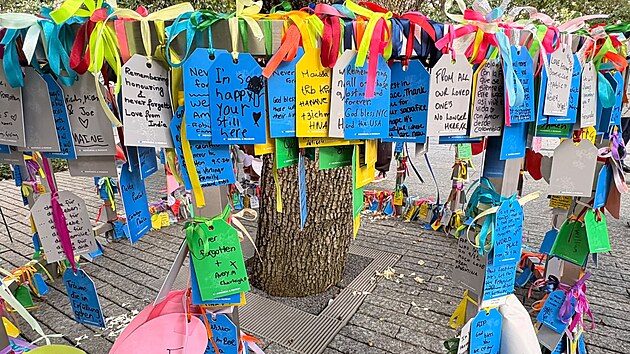 Vzkazy u hrušně známé jako Survival Tree v New Yorku. (21. září 2026)