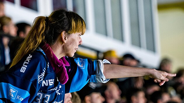 29. 9. 2026. Verva Litvínov - Bílí Tygři Liberec, hokejová extraliga. Fanynka Liberce.