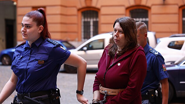 Krajský soud v Brně se dnes začal zabývat případem pokusu o vraždu a případem vraždy. Obžalovaná Lucie Hrdová podle spisu na ubytovně zasadila poškozenému 158 bodných a řezných ran. Hrozí jí 15 až 20 let vězení, případně výjimečný trest. (6. října 2026)