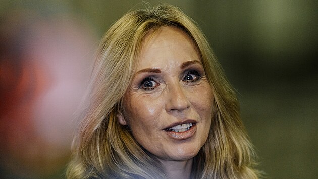 Tereza Pergnerová před koncertem skupiny Lunetic (2. října 2026)