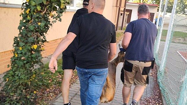 Uherskohradi&scaron;ťsk&eacute; gymn&aacute;zium nav&scaron;t&iacute;vil srnec, ze &scaron;koly ho museli vyvl&eacute;ct myslivci. (7. ř&iacute;jen 2026)