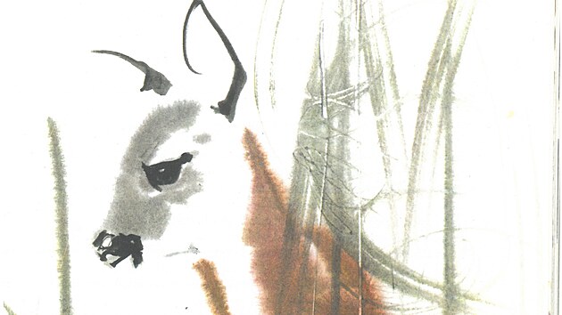 Ilustrace Mirko Hanáka z knihy Lovy beze zbraní