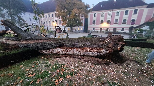 Třeboňský zámek přišel o dub na velkém nádvoří. „O půlnoci se samovolně zřítil. Jeho stáří odborníci odhadují na 260 až 280 let. Ve spolupráci s CHKO řešíme, jak naložit s kmenem,“ napsali k smutné události zástupci zámku.