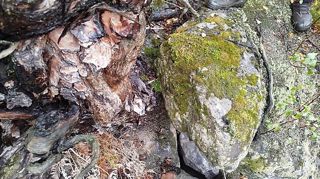 Kus odlomen&eacute; p&iacute;skovcov&eacute; sk&aacute;ly se v p&aacute;tek 9. ř&iacute;jna zř&iacute;til na pr&aacute;zdn&eacute; parkovi&scaron;tě v Hřensku. Kameny na&scaron;těst&iacute; nikoho nezranily.