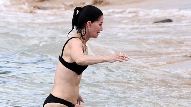 Courteney Coxová (říjen 2026)