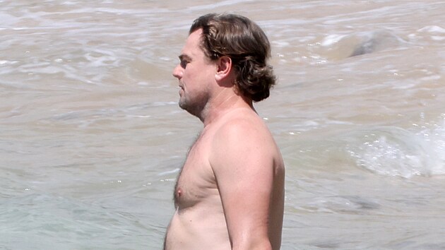 Leonardo DiCaprio (říjen 2026)