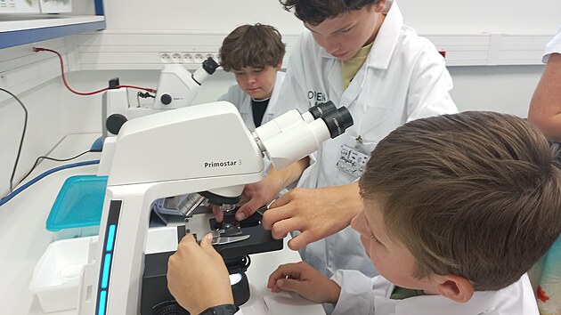 Školáci pod vedením lektorů pracují přímo v laboratoři, zatímco návštěvníci si prohlíží vybavení centra a nahlíží do mikroskopů. Nově otevřený OpenLab v areálu Biologického centra Akademie věd České republiky chce ukázat, že přírodní vědy nejsou jen učebnice, ale hlavně vlastní objevování a hledání souvislostí.