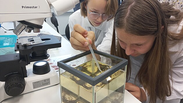 Školáci pod vedením lektorů pracují přímo v laboratoři, zatímco návštěvníci si prohlíží vybavení centra a nahlíží do mikroskopů. Nově otevřený OpenLab v areálu Biologického centra Akademie věd České republiky chce ukázat, že přírodní vědy nejsou jen učebnice, ale hlavně vlastní objevování a hledání souvislostí.