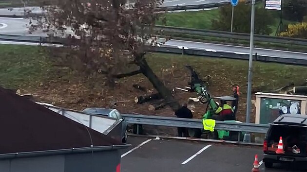 Čern&eacute; k&aacute;cen&iacute; u prodejny Penny v Jaroměři