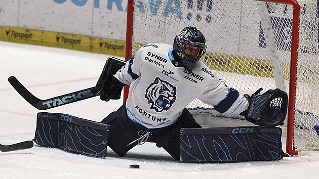 Liberecký brankář Petr Hamalčík v utkání s Vítkovicemi v hokejové extralize.