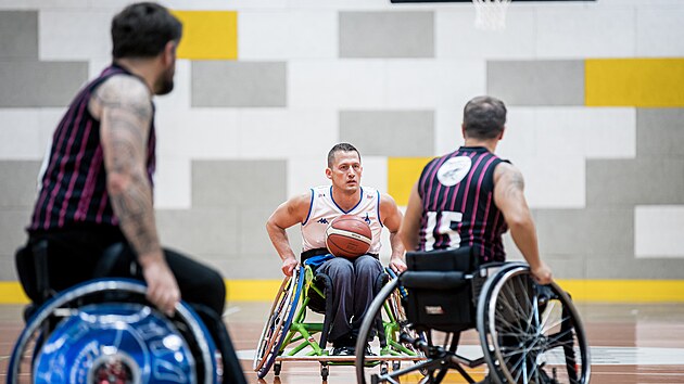 Basket na vozíku