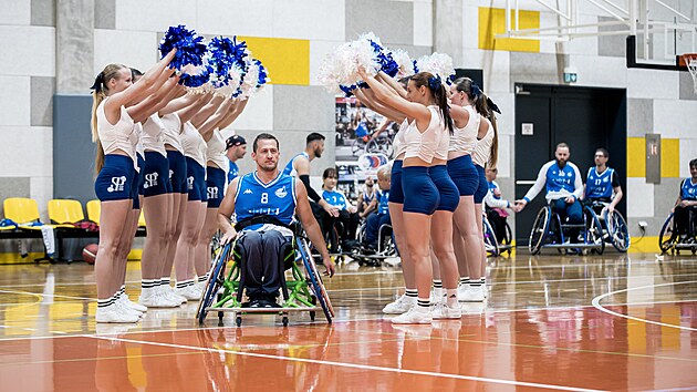 Basket na vozíku