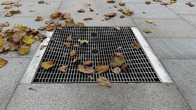 Po průjezdu a manévrování polského kamionu zůstaly na novém velkomeziříčském Náměstí škody. Promáčklé jsou kovové rošty, uvolněná je dlažba, patrné jsou stopy po pneumatikách. (20. října 2026)