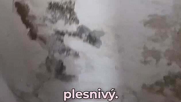 „Vyjela jsem za domečkem se zahrádkou, který mě očaroval jak cenou (35 tisíc eur), tak vzhledem, ale ve finále to dopadlo úplně jinak,“ svěřila se herečka Lucie Benešová na Instagramu a ukázala zdi pokryté plísní. (Sicílie 2026)