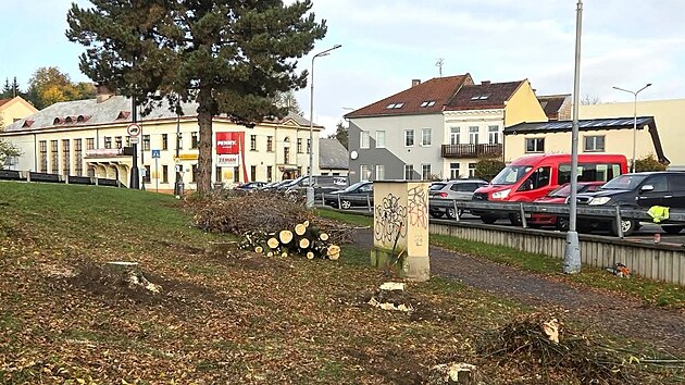 Pok&aacute;cen&eacute; stromy před prodejnou Penny Market v Jaroměři (26. ř&iacute;jna 2026)