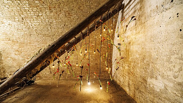 Výstava Flowers & Lights propojuje moderní světelný design, květinové umění a autentickou, tajemnou atmosféru historických kasemat na Špilberku.