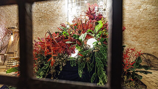 Výstava Flowers & Lights propojuje moderní světelný design, květinové umění a autentickou, tajemnou atmosféru historických kasemat na Špilberku.