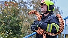Posledn&iacute; z&aacute;sah. Jiř&iacute; Glabazňa musel zachr&aacute;nit kobru. (29. ř&iacute;jna 2026)