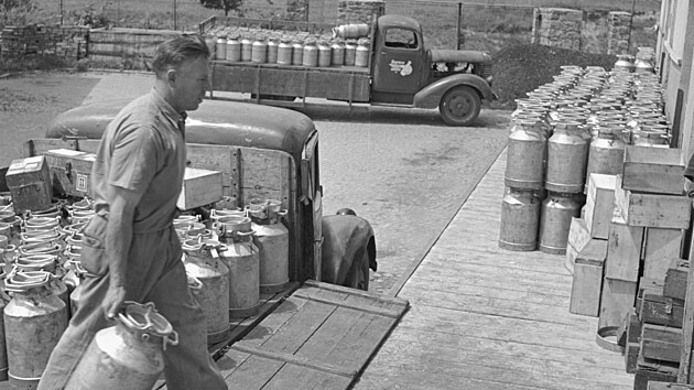 Snímek z roku 1953 zachycuje pracovníka sedlecké mlékárny u Sedlčan, jak vynáší z nákladního auta prázdné konve. V roce 1981 byl právě v Sedlčanech na trh poprvé uveden sýr Lučina. Ten letos slaví 45 let.
