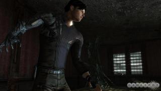 Dark sector