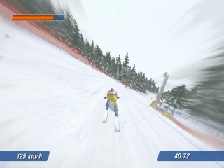 Ski Racing 2006