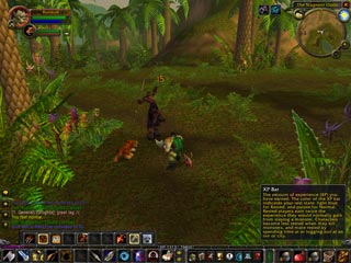 World of WarCraft