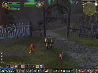 World of WarCraft