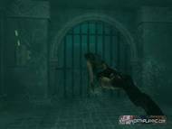 Lara Croft Tomb Raider: Anniversary