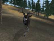 Deer hunter 2004