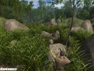 Medal of Honor: Pacific Assault