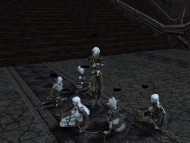 Lineage II: The Chaotic Chronicle