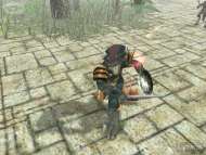 Dungeon Siege: Legends of Aranna