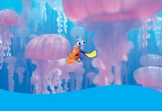 Hled se Nemo