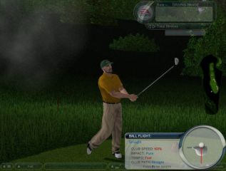 Tiger Woods PGA Tour 2004