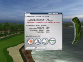 Tiger Woods PGA Tour 2004