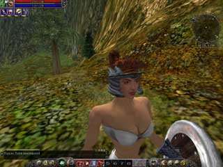 Asheron`s Call 2: Fallen Kings