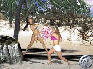 Bikini Karate Babes