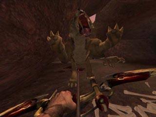 Turok Evolution