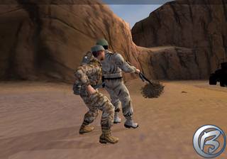 Conflict: Desert Storm