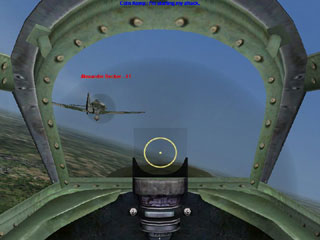 Combat Flight Simulator 3