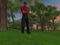 Tiger Woods 2003