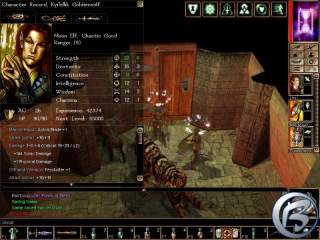 Neverwinter Nights