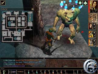 Neverwinter Nights