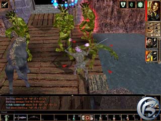 Neverwinter Nights