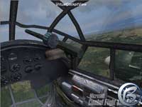 Combat Flight Simulator 3