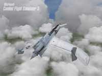 Combat Flight Simulator 3