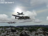 Combat Flight Simulator 3