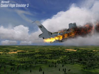 Combat Flight Simulator 3