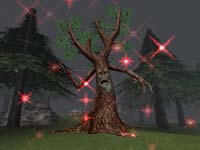Everquest: nov zna Jaggedpine Forest