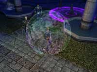 Neverwinter Nights